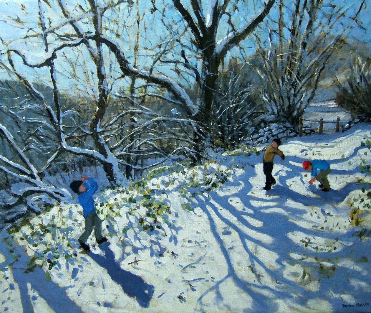 Battaglia di palle di neve, Derbyshire da Andrew Macara
