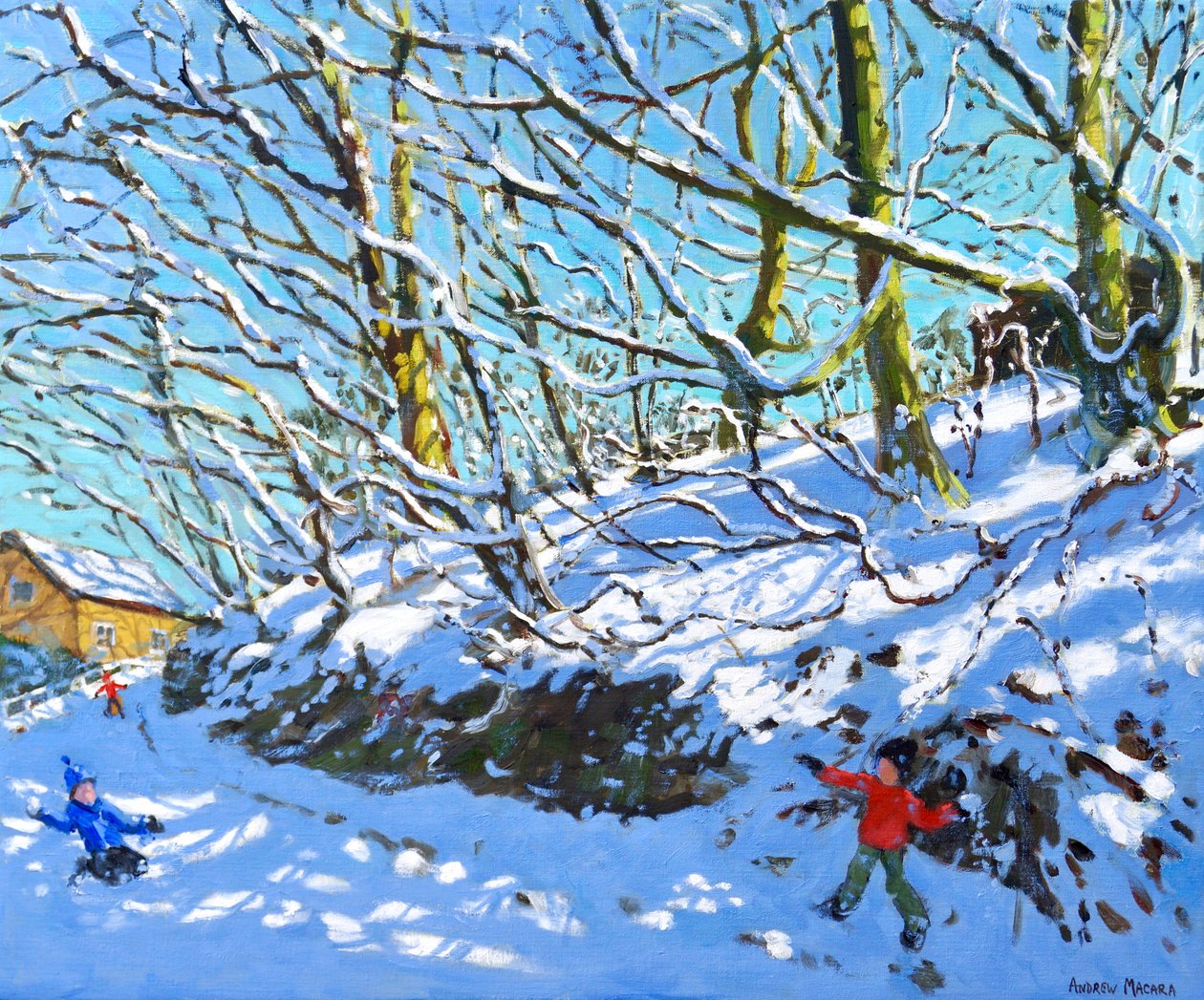 Palle di Neve, Upper Hulme, Staffordshire da Andrew Macara