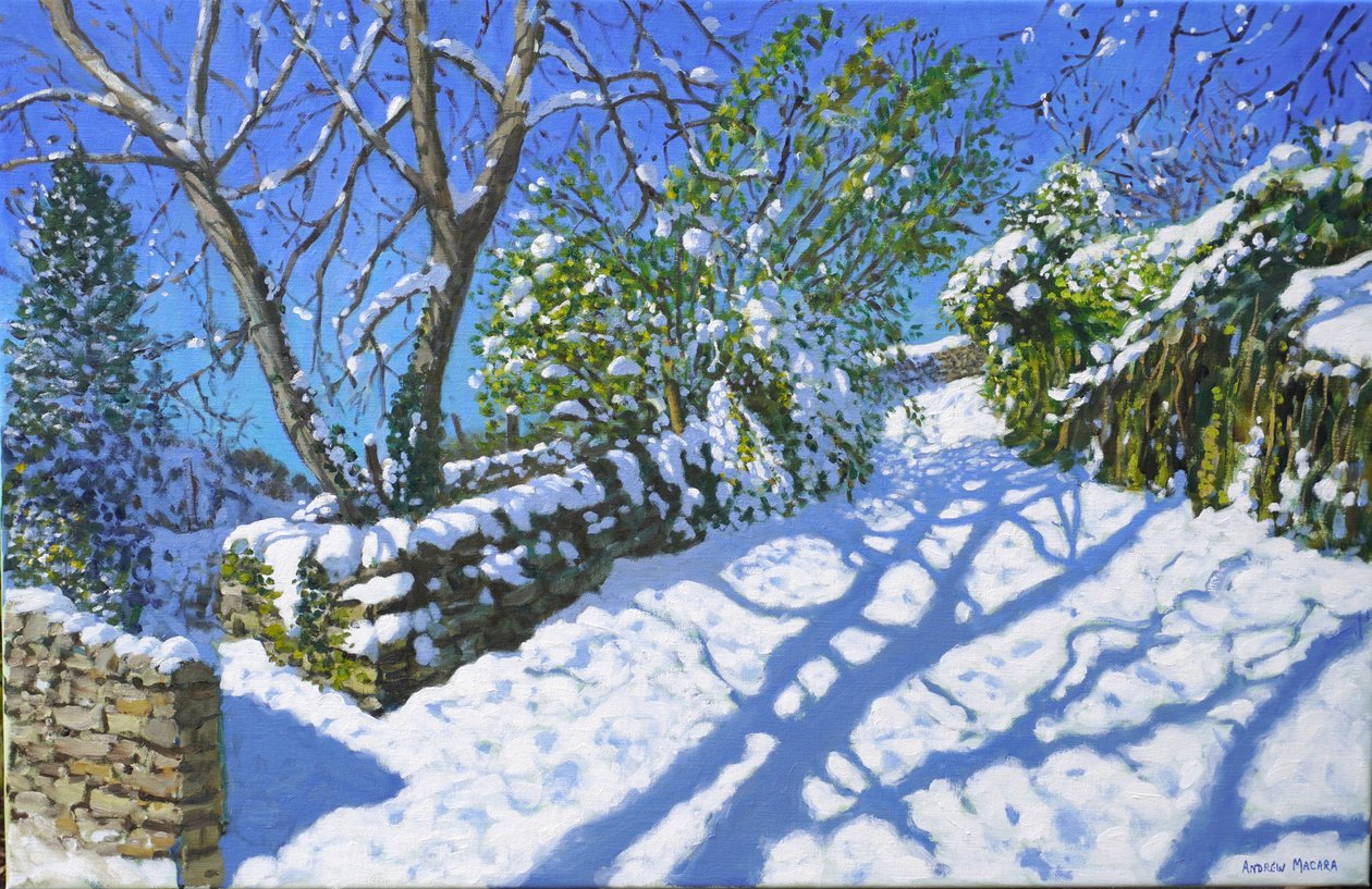 Neve primaverile, Wirksworth, Derbyshire, 2023 da Andrew Macara