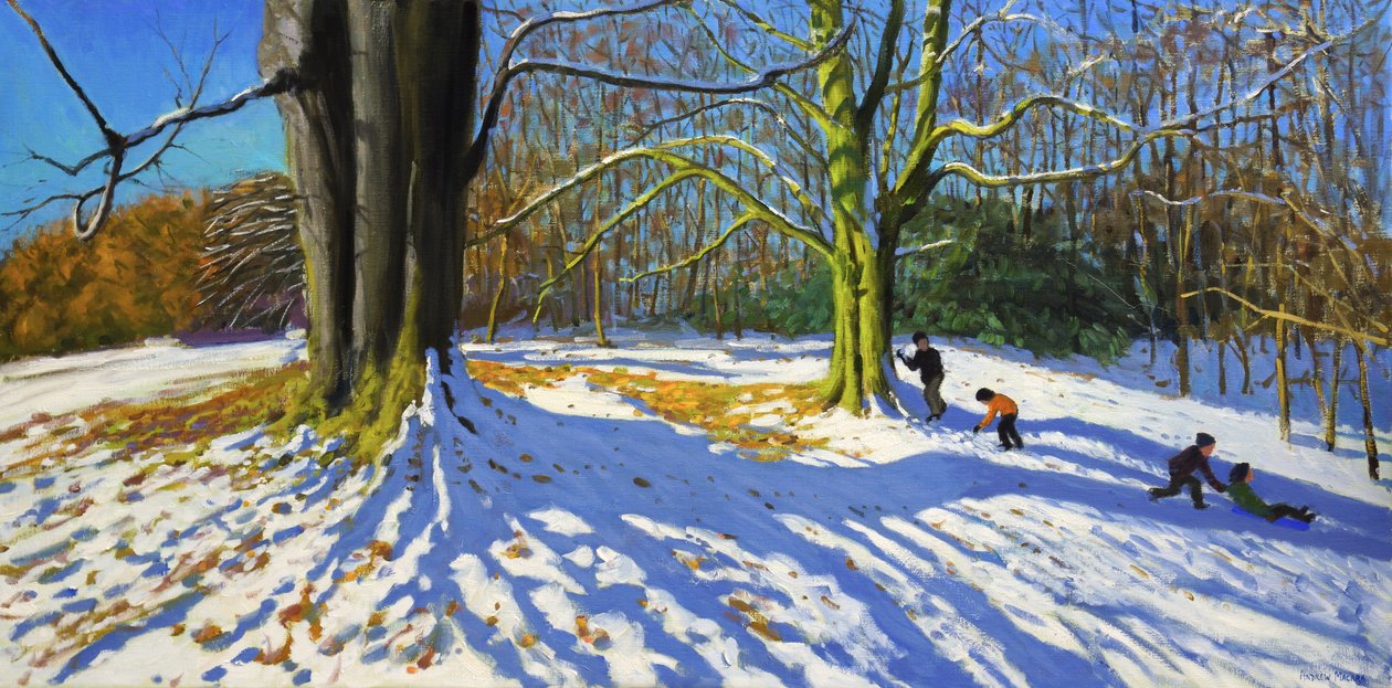 Cima del Parco di Allestree, 2014 da Andrew Macara