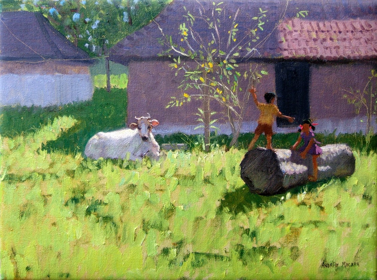 Mucca bianca e due bambini, Isola di Mankotta, Kerala, India da Andrew Macara