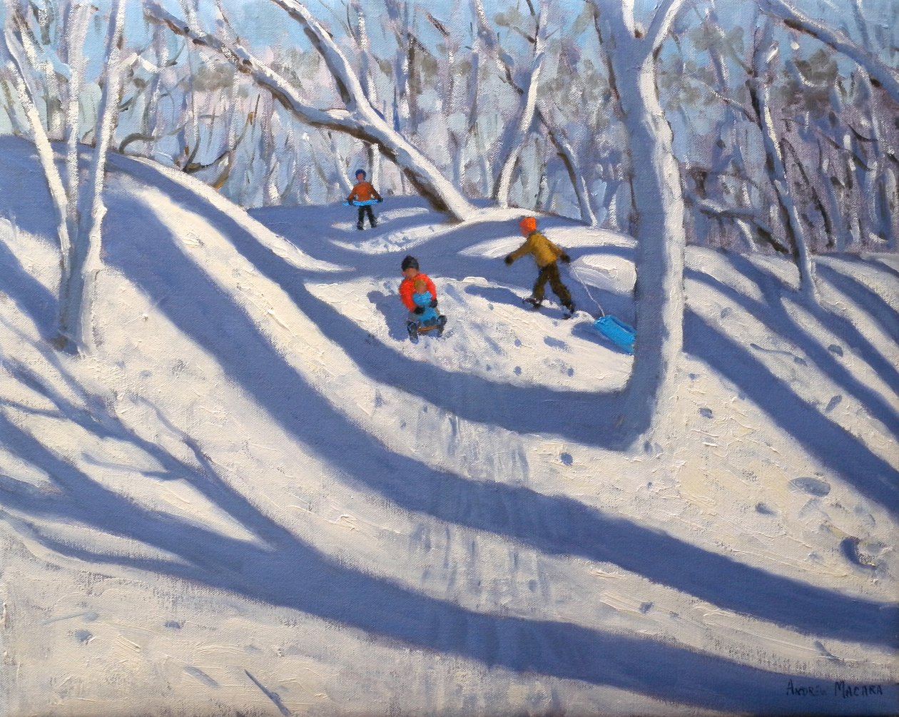 Inverno, Bramcote, Nottingham, 2009 da Andrew Macara