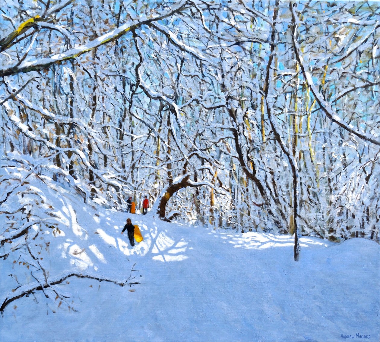 Slitte gialle e arancioni, Allestree Park, Derby, 36 x 40, 2018 da Andrew Macara