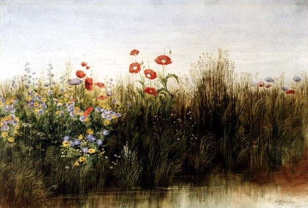 Fiori selvatici vicino a un ruscello da Andrew Nicholl
