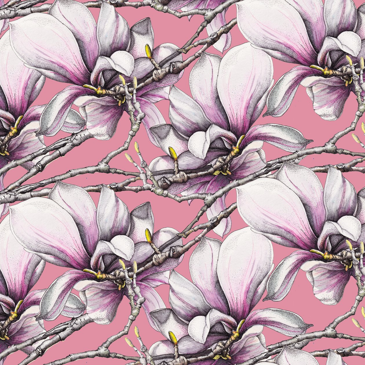 Magnolia da Andrew Watson