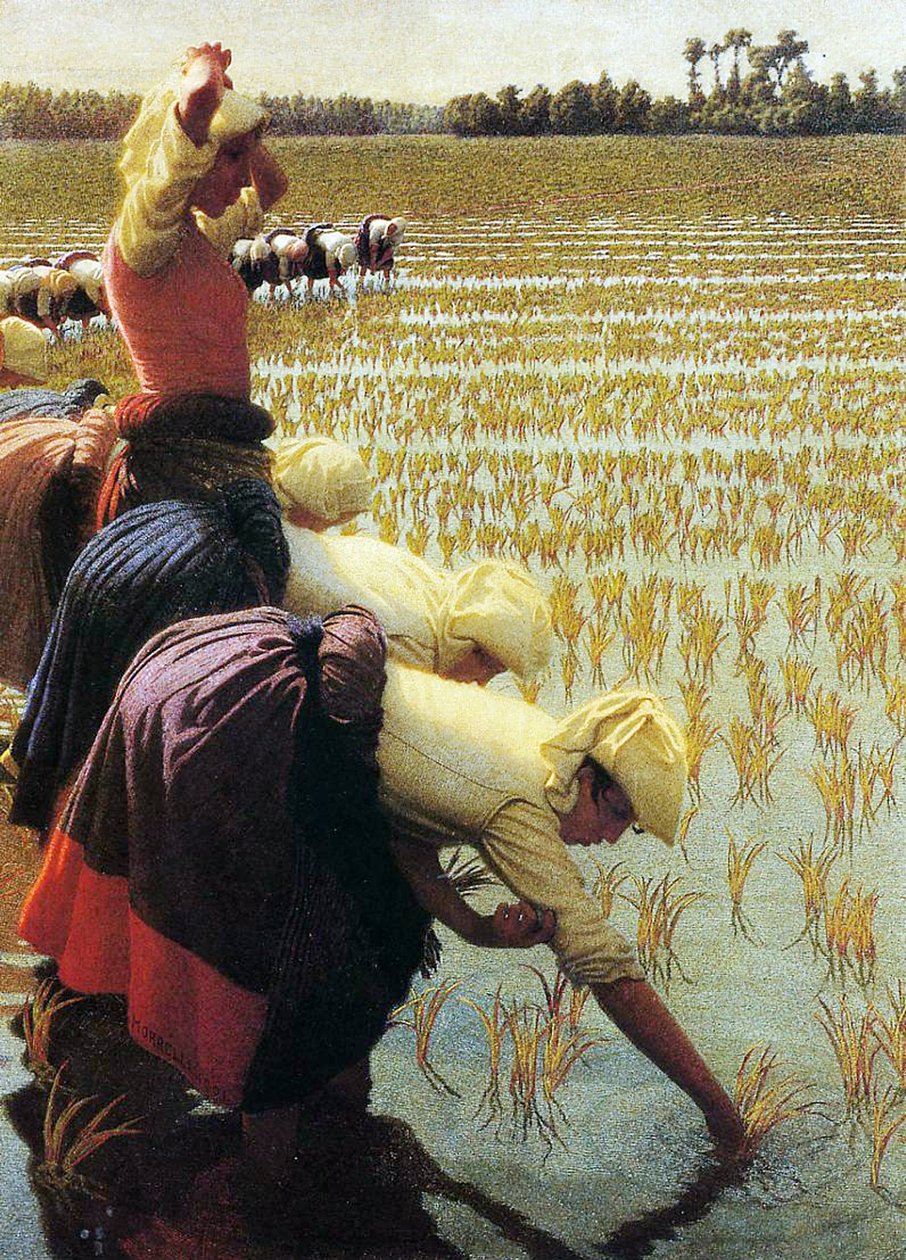 Una risaia italiana, 1901 da Angelo Morbelli