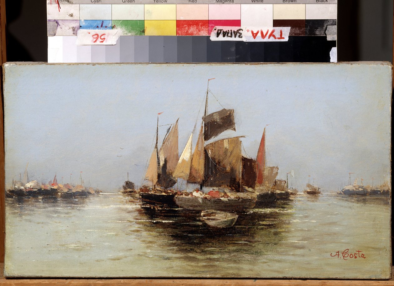 Barche a vela da Angelo Maria Costa
