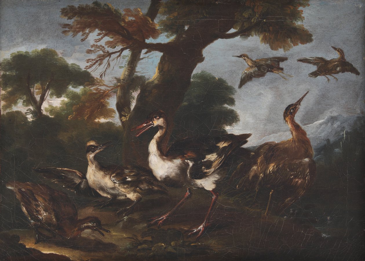 Paesaggio con uccelli da Angelo Maria Crivelli
