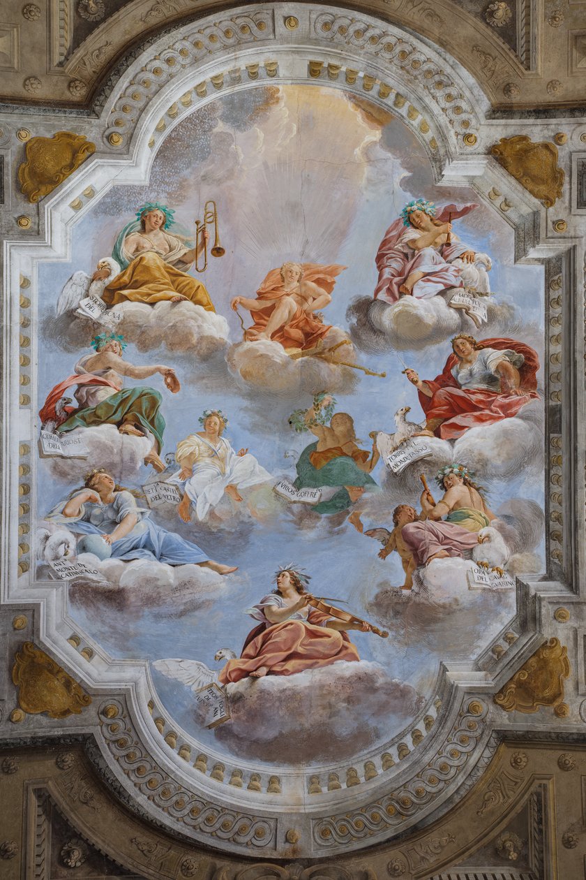 Soffitto della sala con i Quartieri di Bologna, Sala delle Guardie, Palazzo Ducale di Este, Sassuolo, Italia da Angelo Michele Colonna