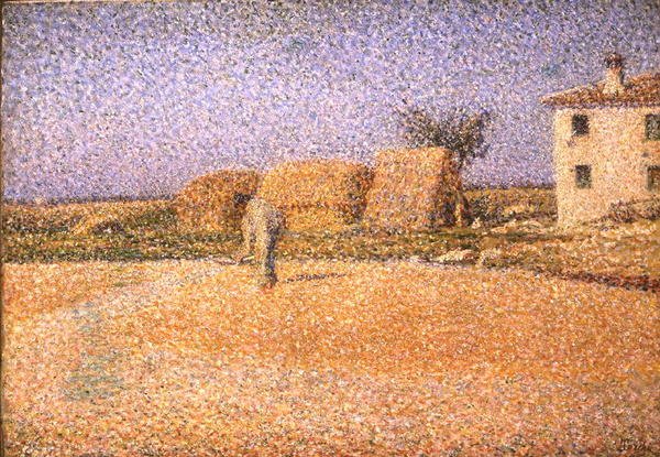 Grano al sole da Angelo Torchi