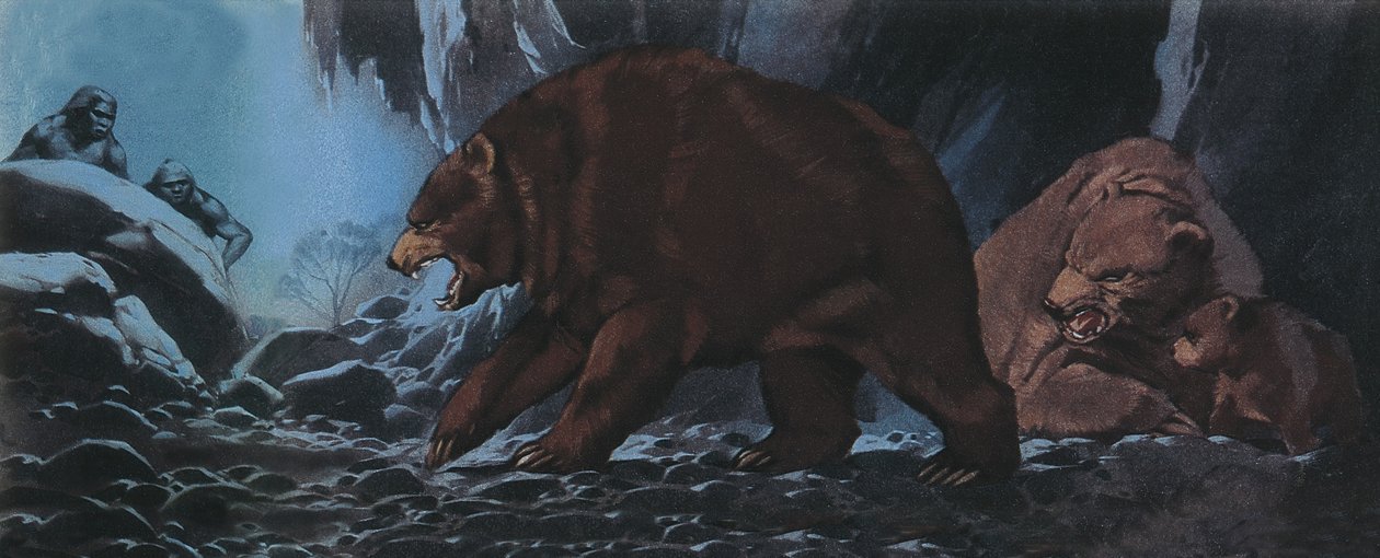 Gli orsi e l