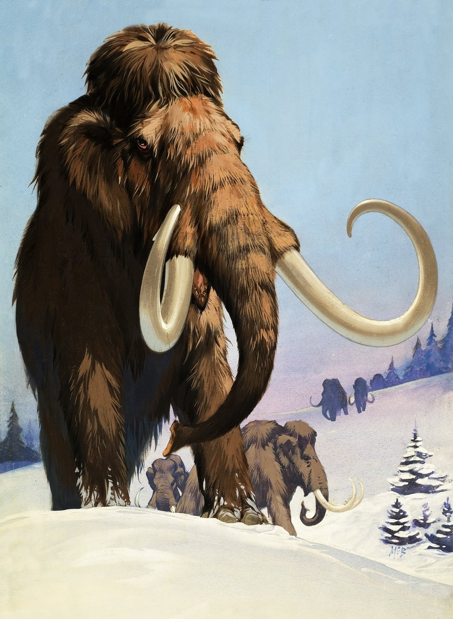 I mammut dell