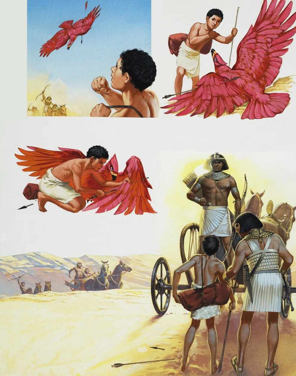 Uccello rosso da Angus McBride