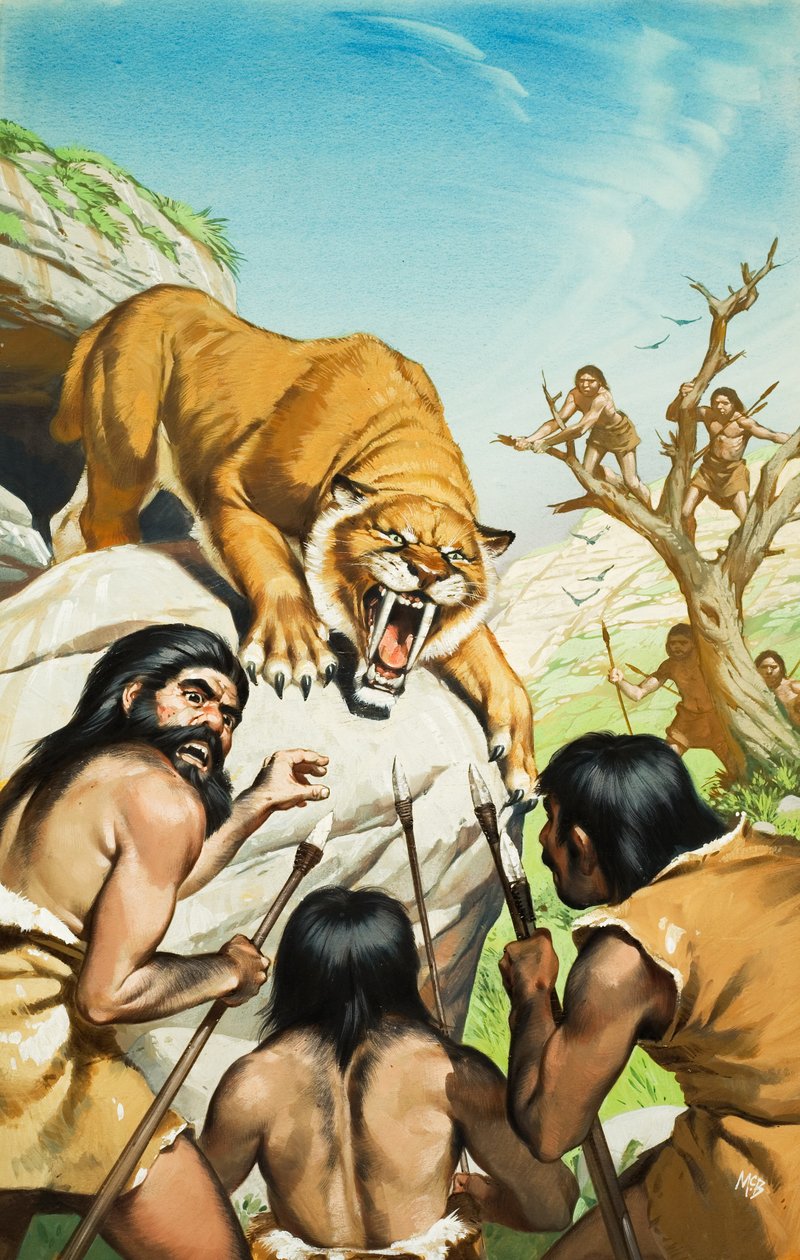 Tigre dai denti a sciabola e uomini delle caverne (gouache su carta) da Angus McBride