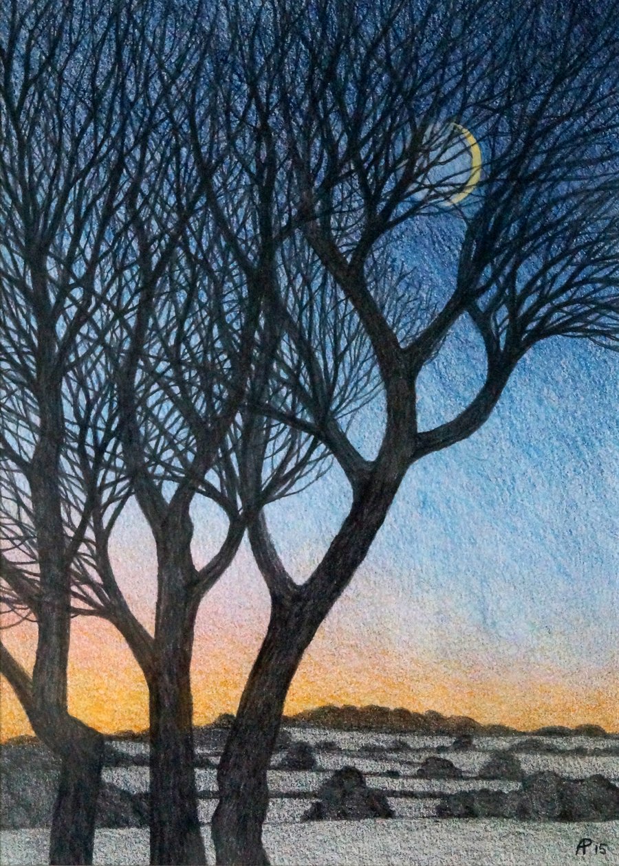 Alberi e luna, 2015 da Anna Phillips