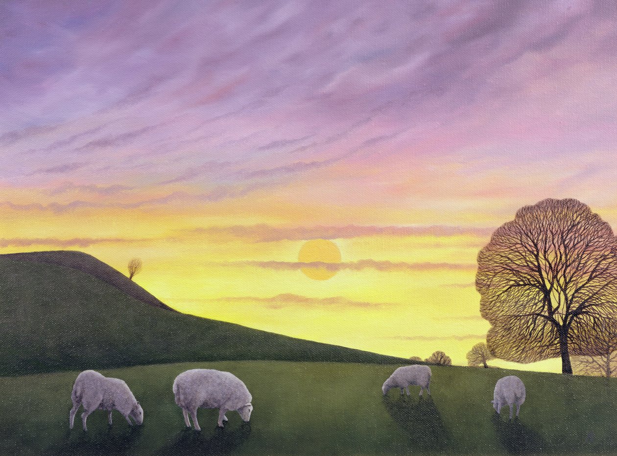 Barratts Hill da Anna Phillips