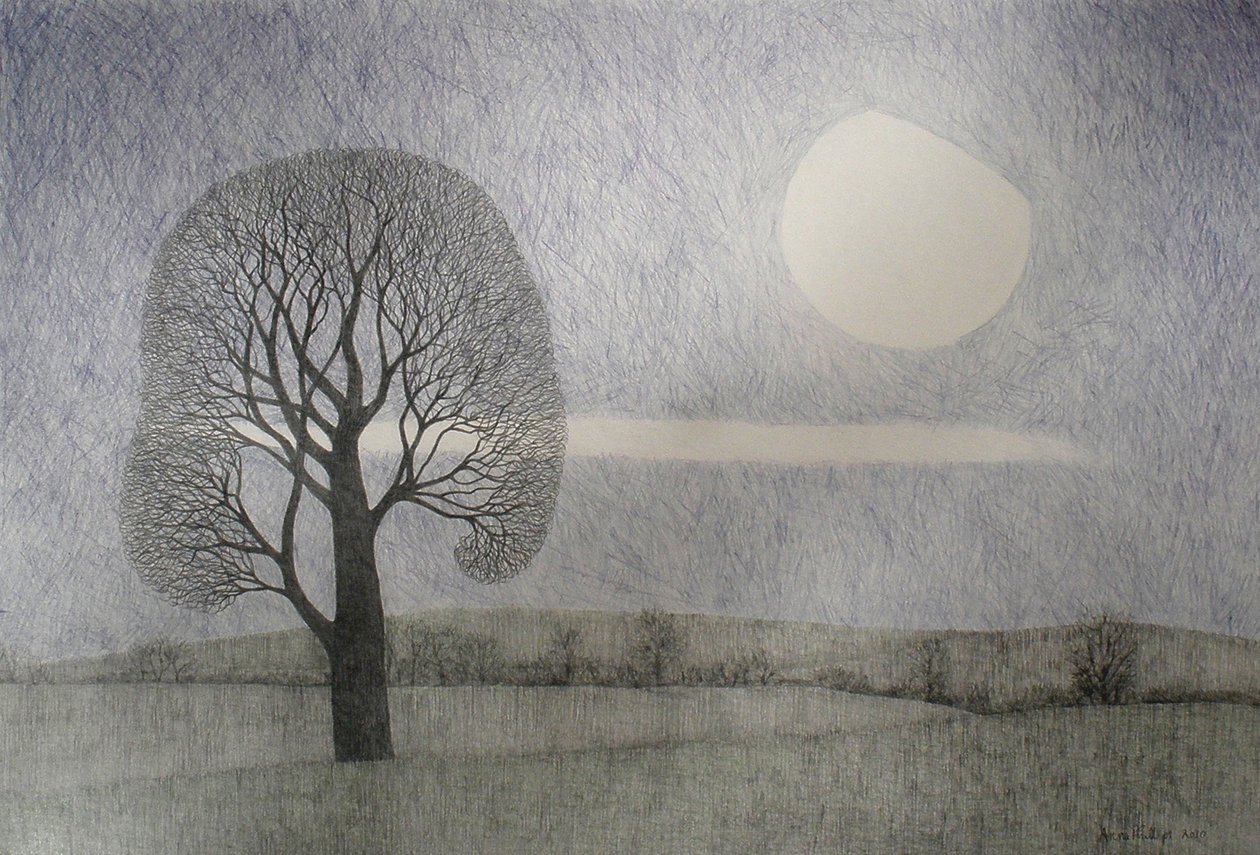 Luna di febbraio, 2010 da Anna Phillips