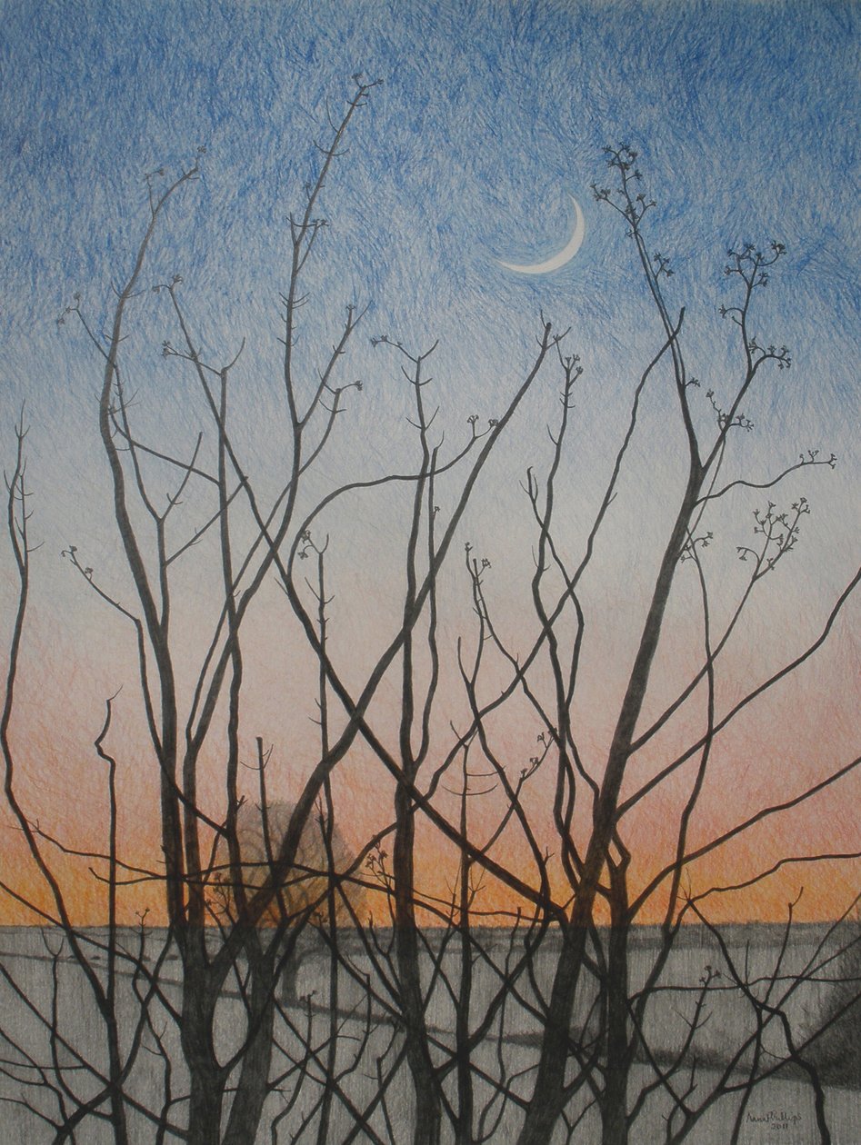 Dalla mia finestra, 2011 da Anna Phillips
