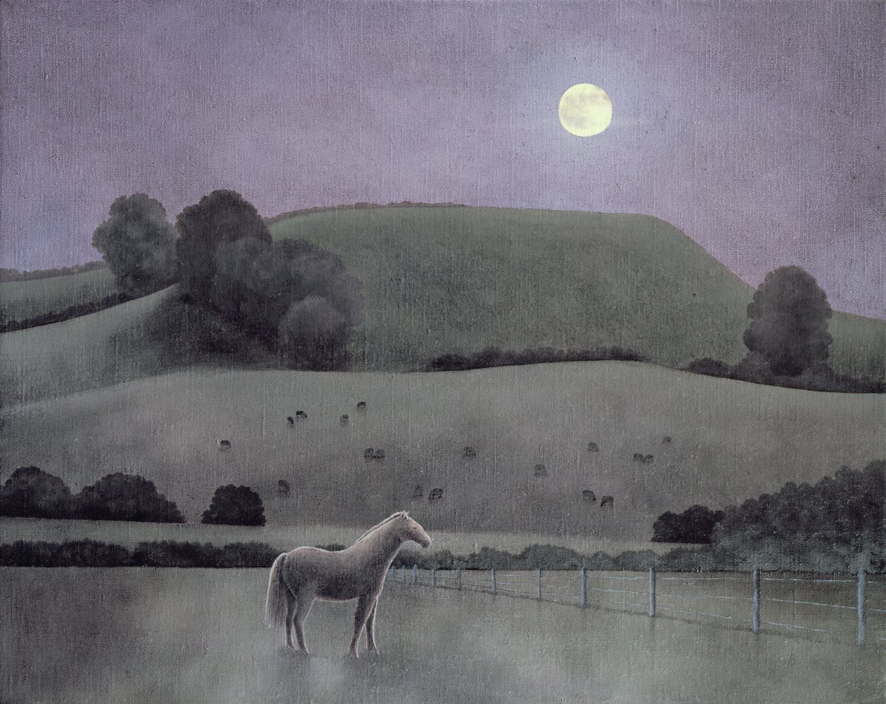 Cavallo al chiaro di luna da Anna Phillips
