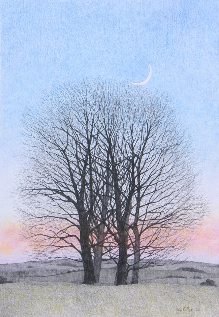Luna nuova, 2011 da Anna Phillips
