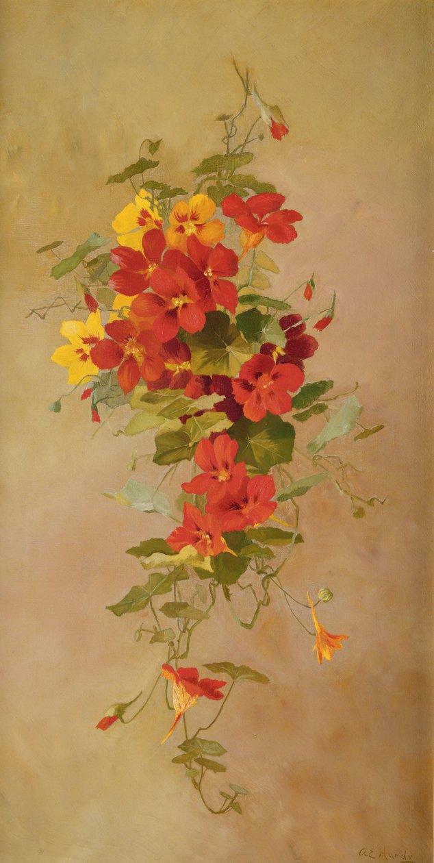 Nasturzi da Anna Eliza Hardy