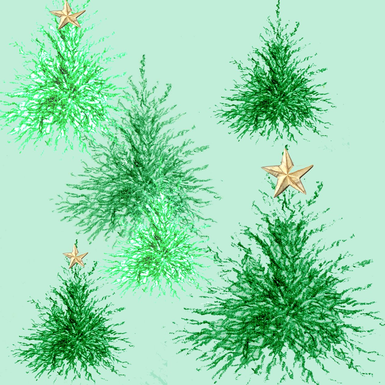 Alberi a stella da Anna Platts
