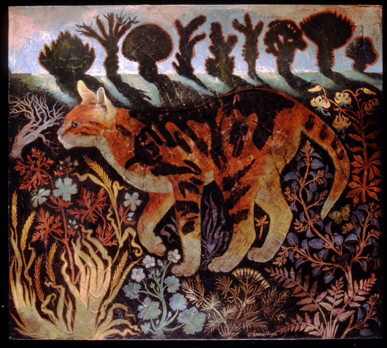 Gatto di Cambridge da Anna Pugh