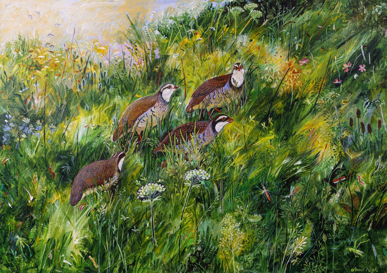 Erba lunga, 2022 (acrilico su tavola) da Anna Pugh