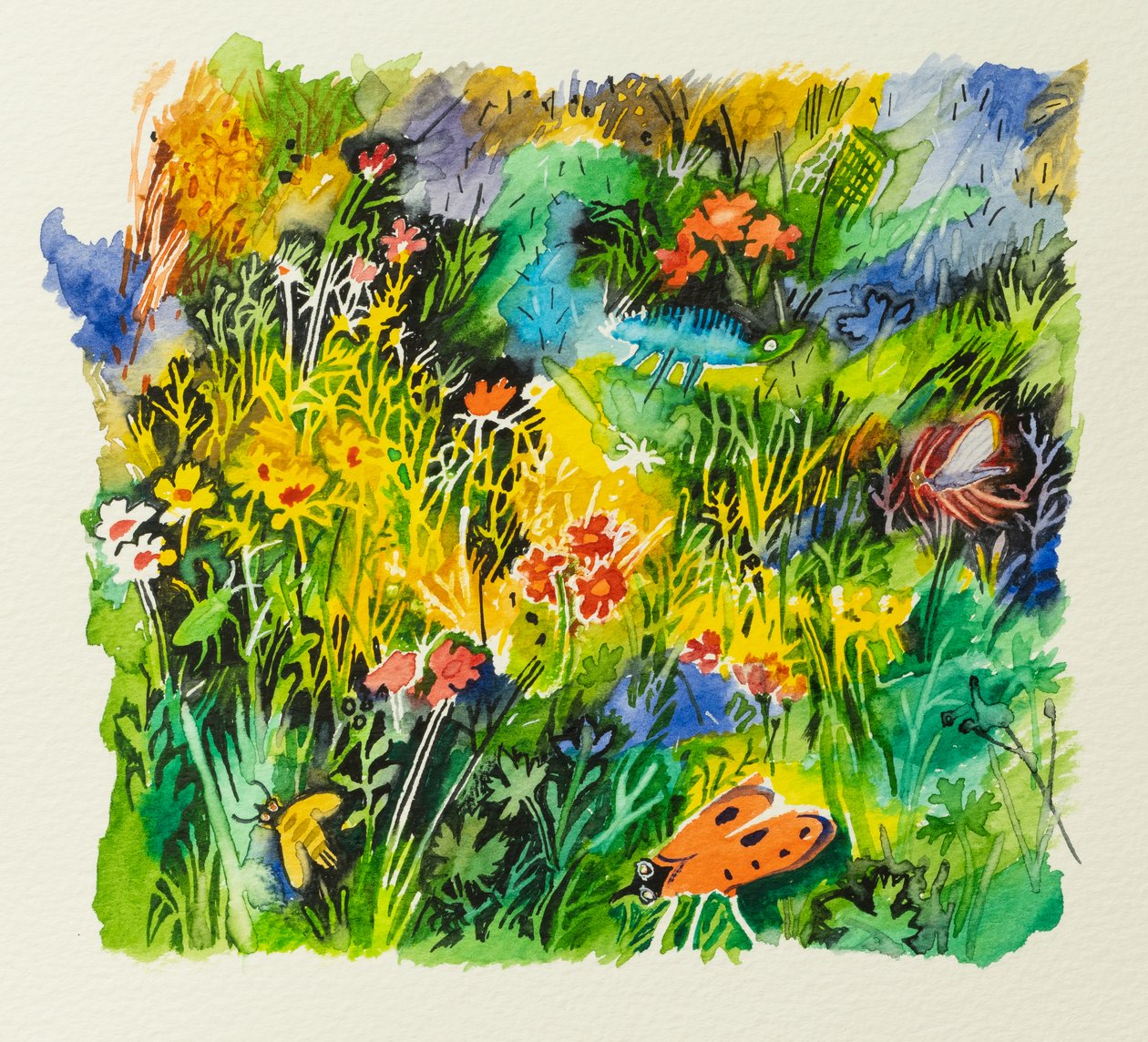 Insetti dei prati, 2023 (acquerello) da Anna Pugh