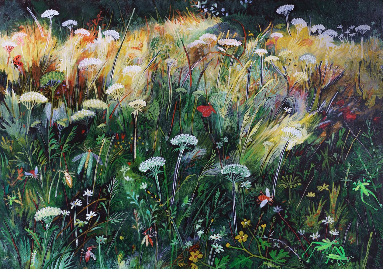 Prato notturno, 2022 (acrilico su tavola) da Anna Pugh