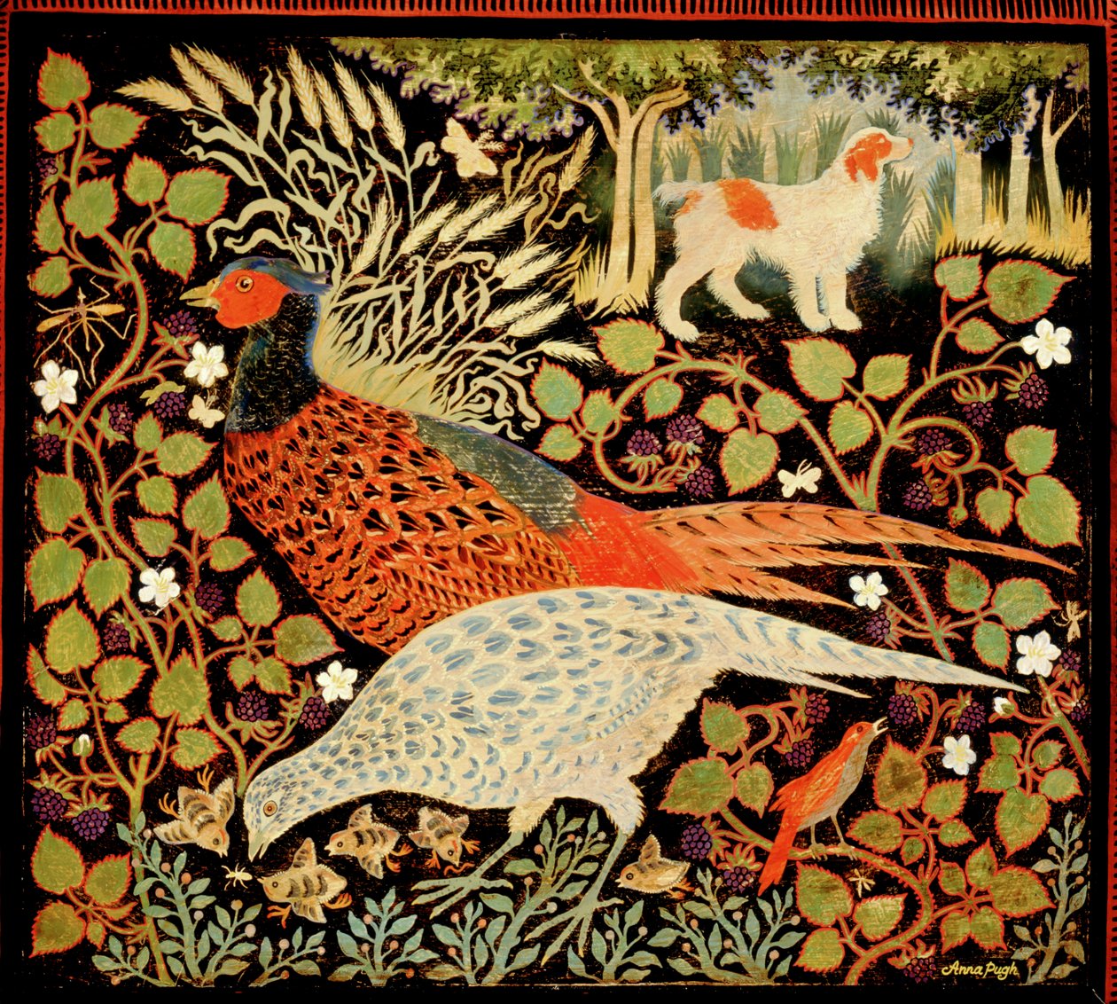 Fagiani da Anna Pugh