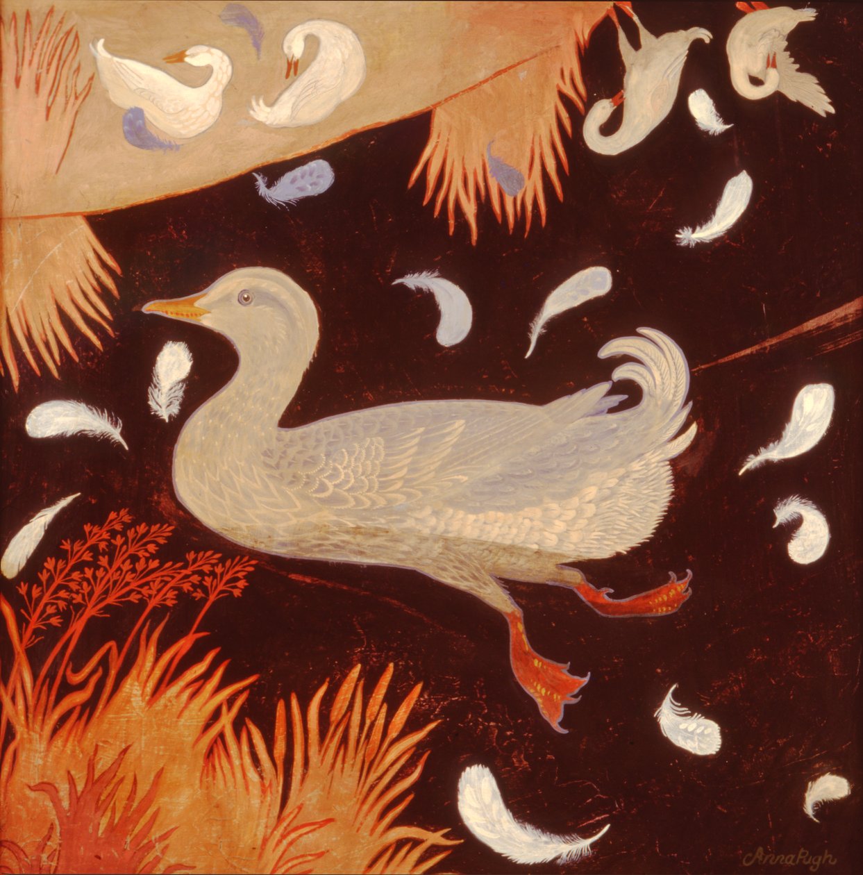Preening da Anna Pugh