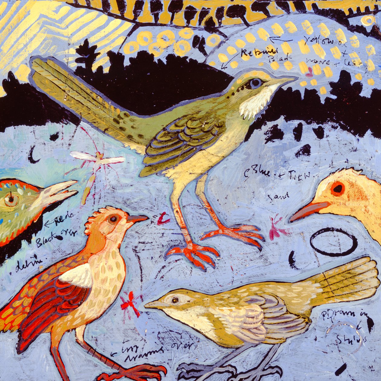 Piccoli uccelli, 2006 (acrilico) da Anna Pugh