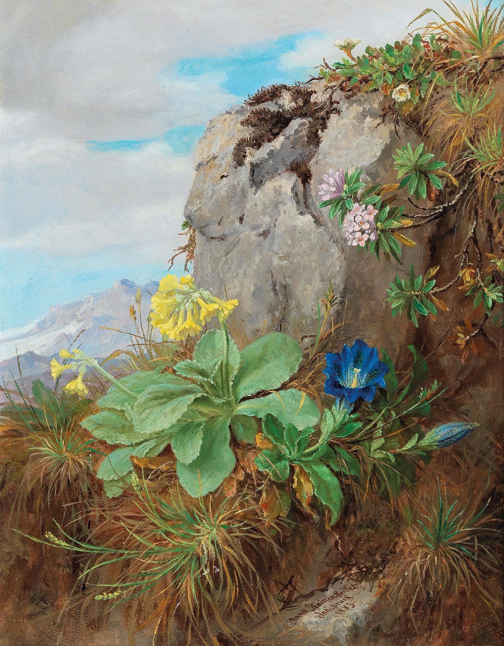 Fiori alpini da Anna Stainer Knittel