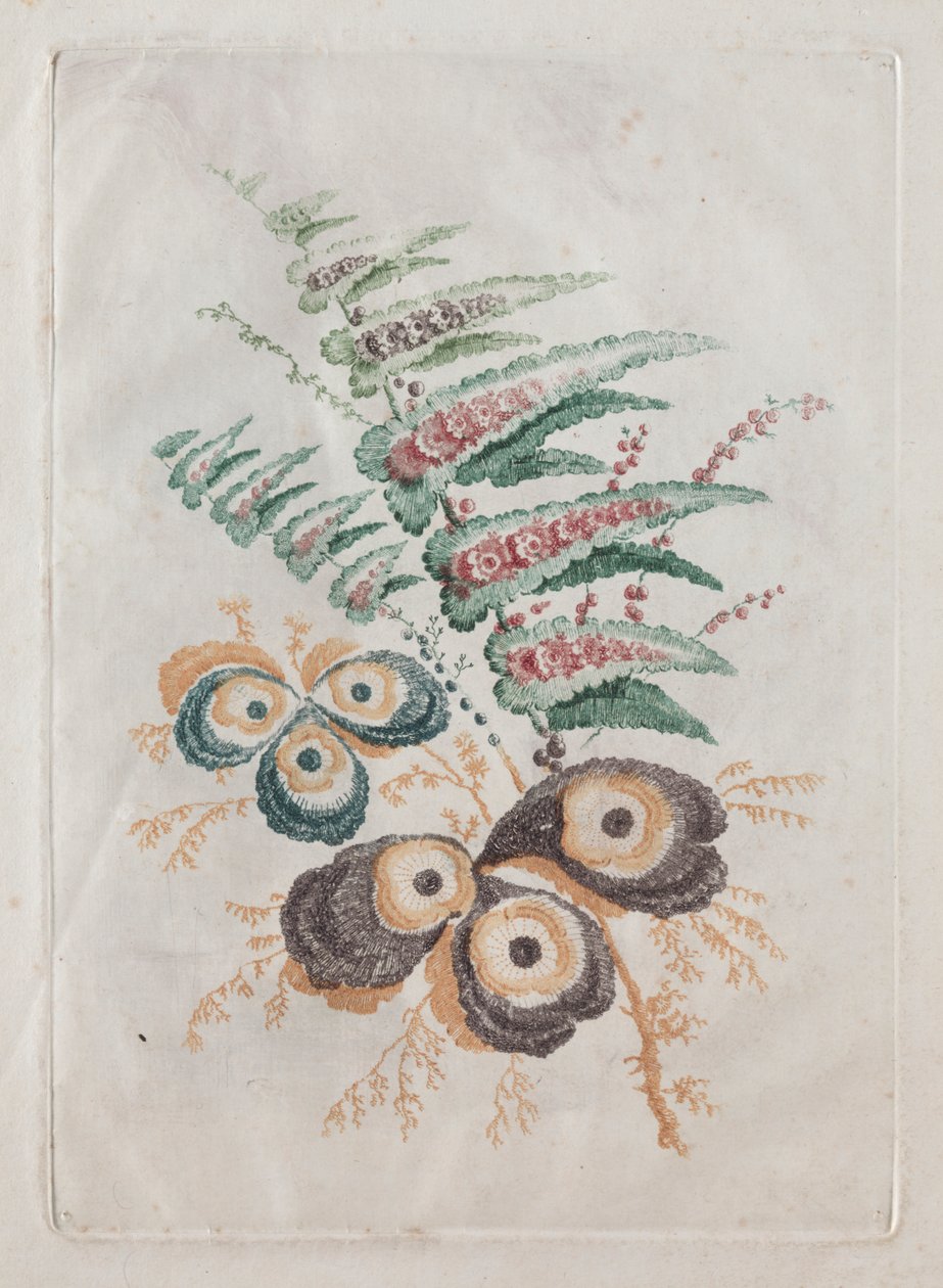 Nuova Serie di Portfolio di Fiori Ideali per il Design e la Pittura: Fantasie Floreali da Anne Allen