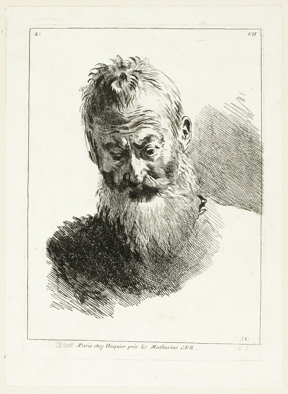Testa dell