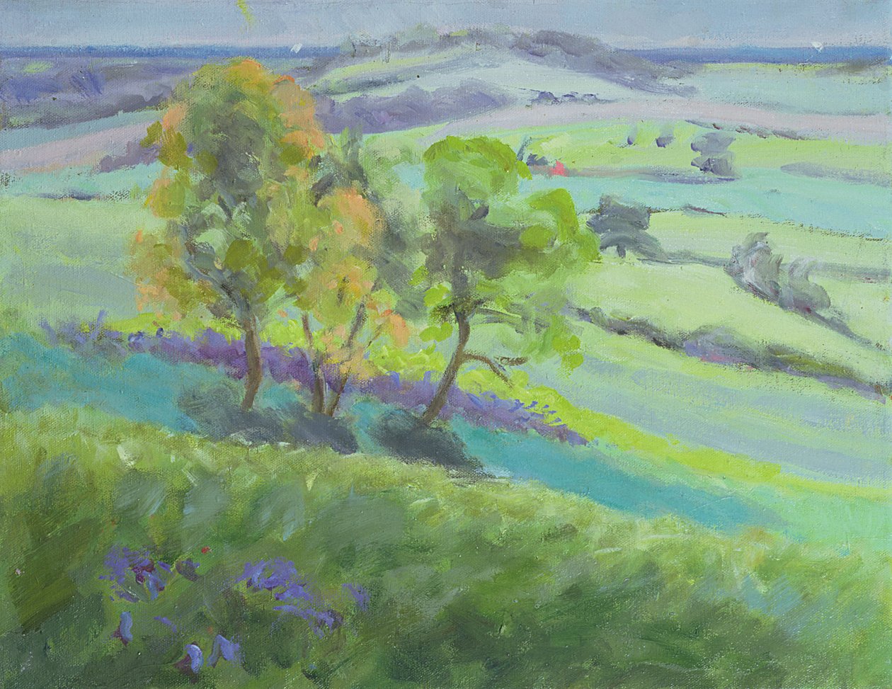 Verso Winchelsea, Sussex, con Campanule in Primavera da Anne Durham