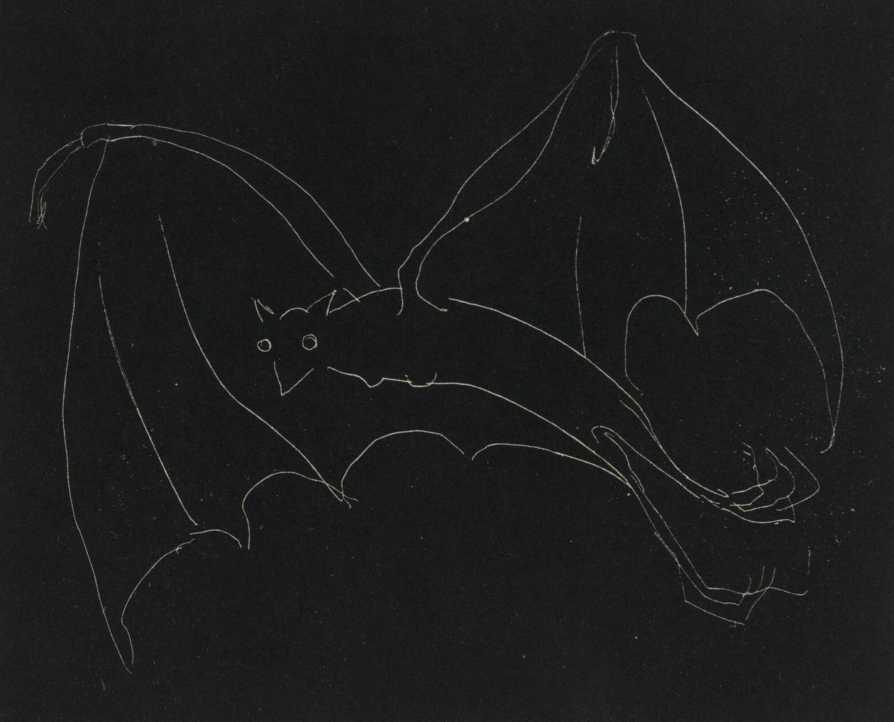 Serie Notturna: Il pipistrello da Anne Goldthwaite
