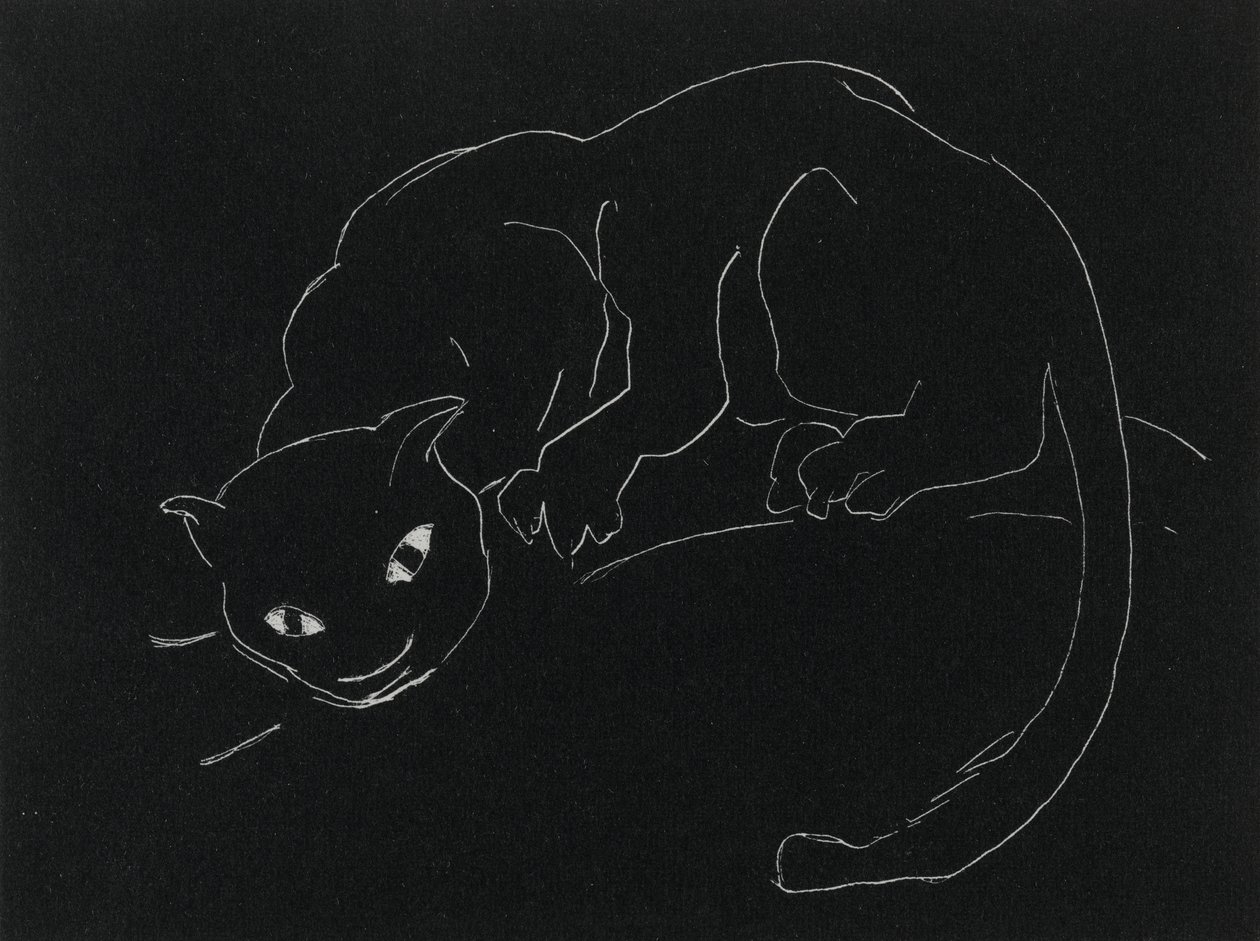 Serie Notturna: Il gatto da Anne Goldthwaite