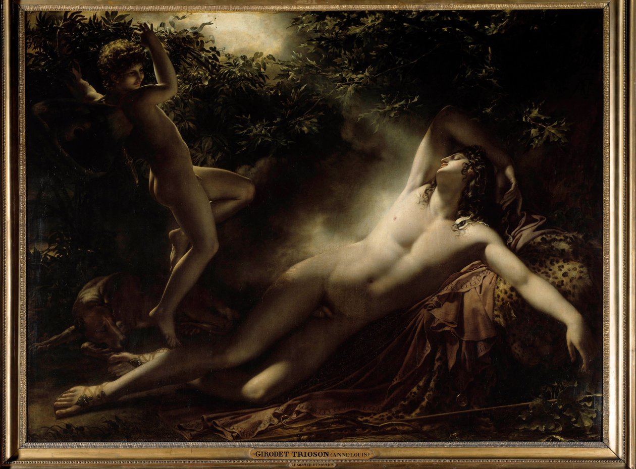 Il sonno di Endimione o Endimione, effetto della luna da Anne Louis Girodet de Roucy Trioson