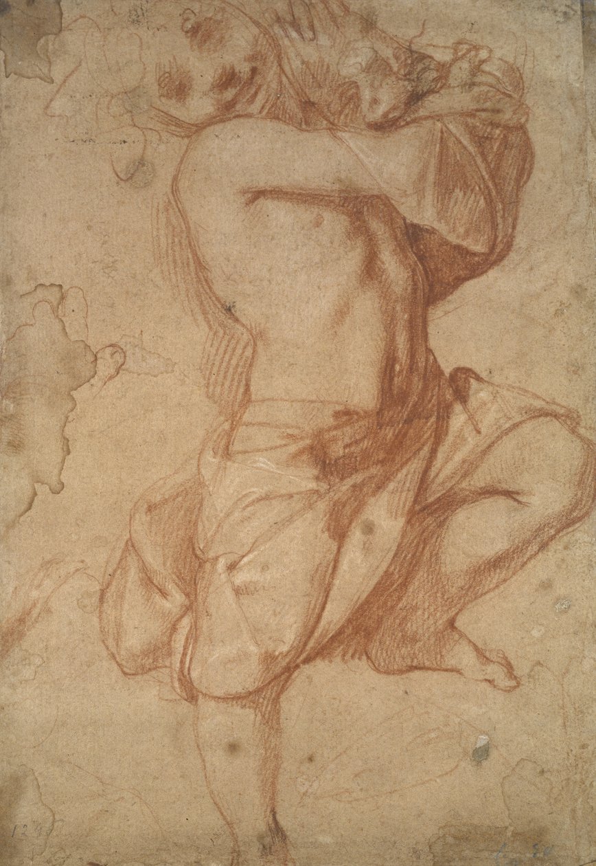 Ragazzo seminudo da Annibale Carracci
