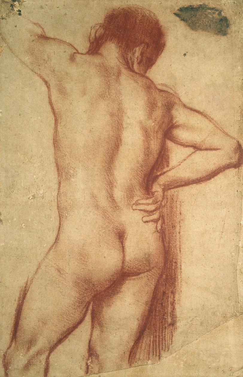 Studio di un uomo nudo da Annibale Carracci