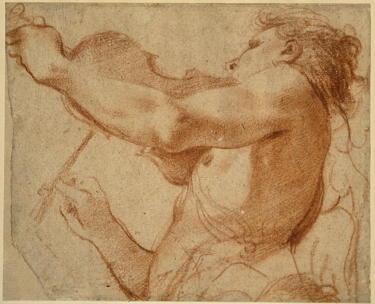 Un angelo che suona il violino da Annibale Carracci