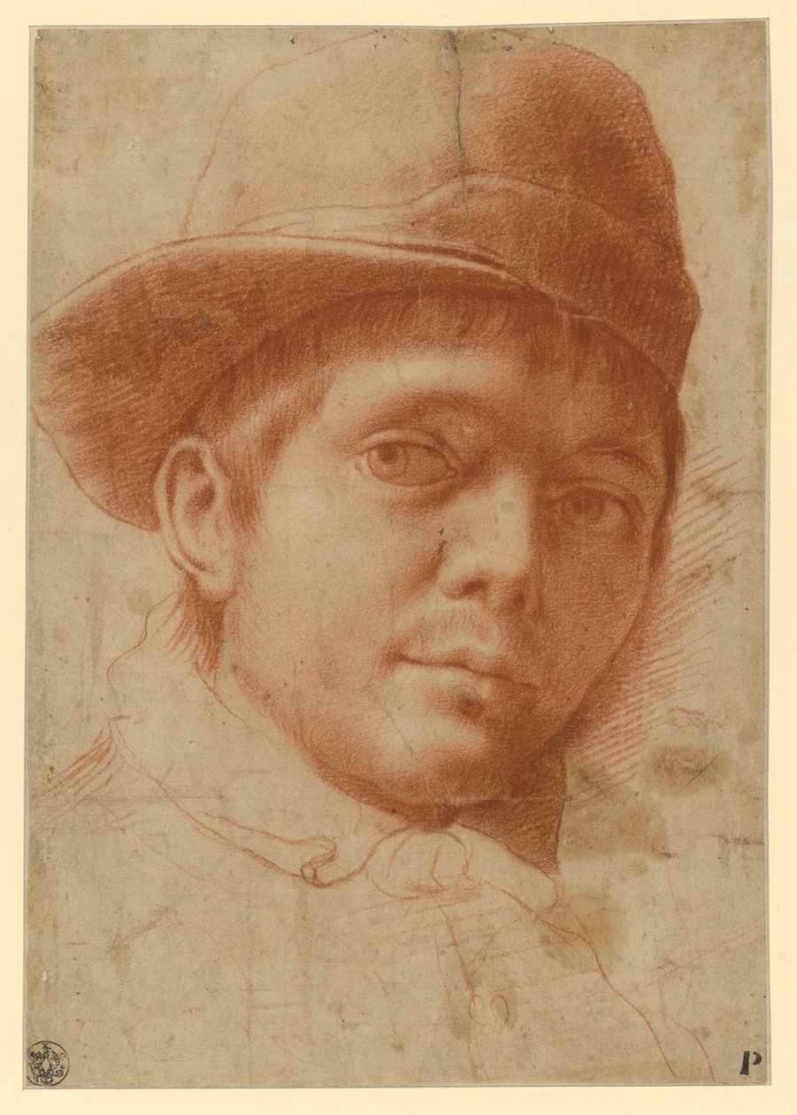 Ritratto di un giovane con un berretto da Annibale Carracci