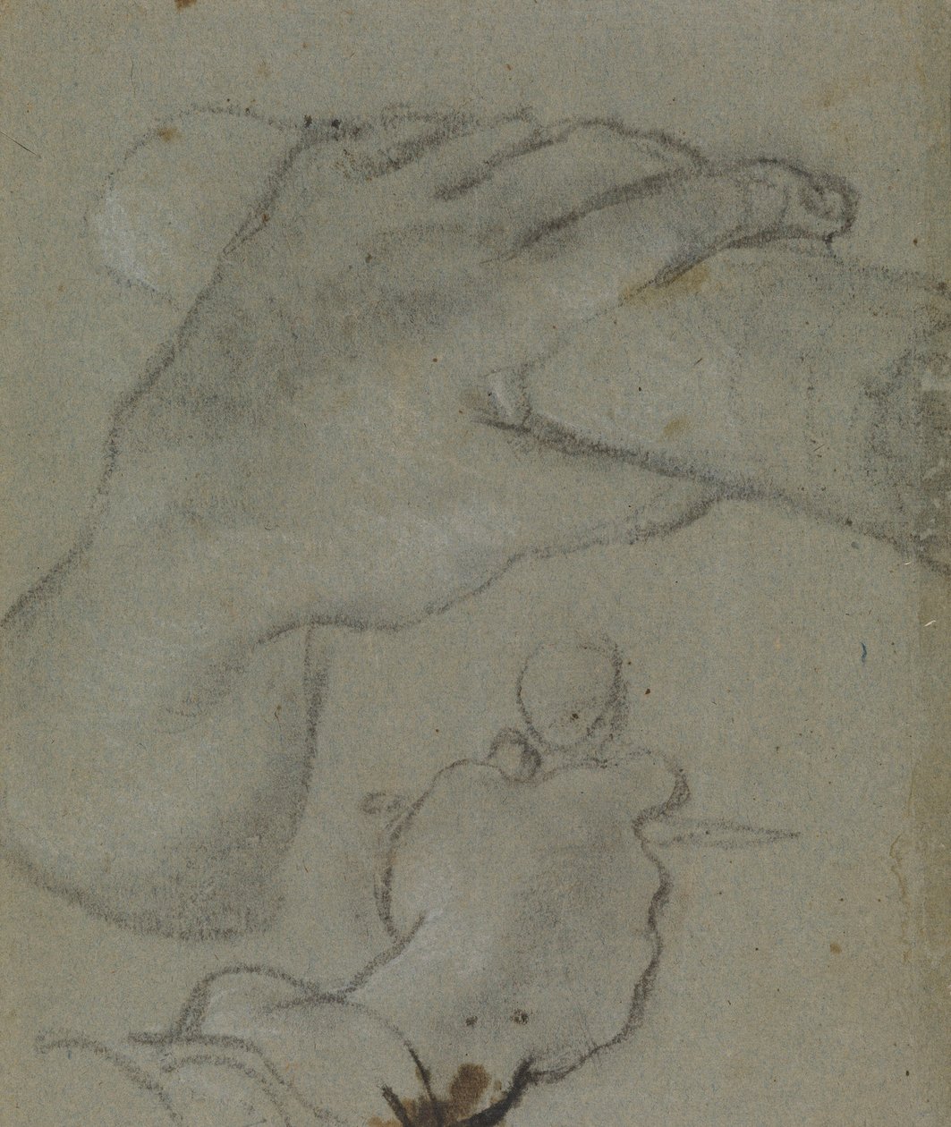 Carracci - v studio per le mani di San Giovanni E, RCIN 902115 da Annibale Carracci