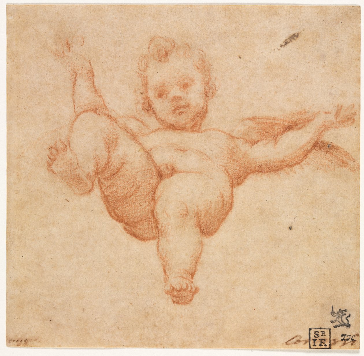 Fliegender Amor da Annibale Carracci