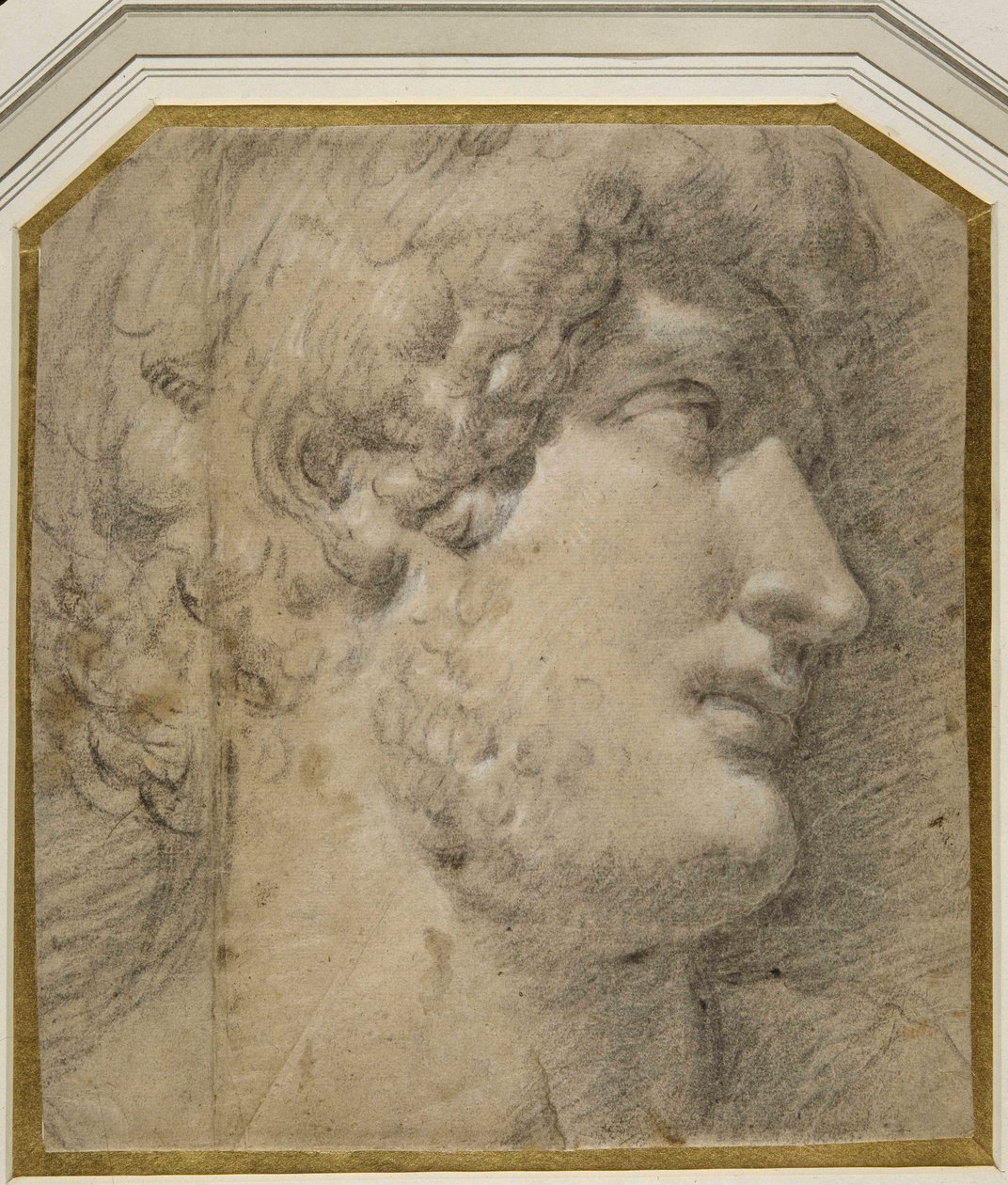Testa dell
