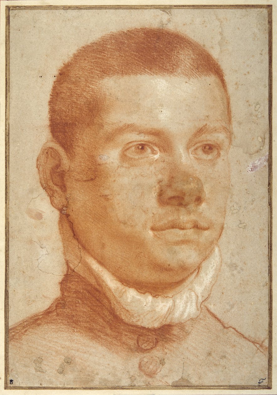 Ritratto di un giovane uomo da Annibale Carracci