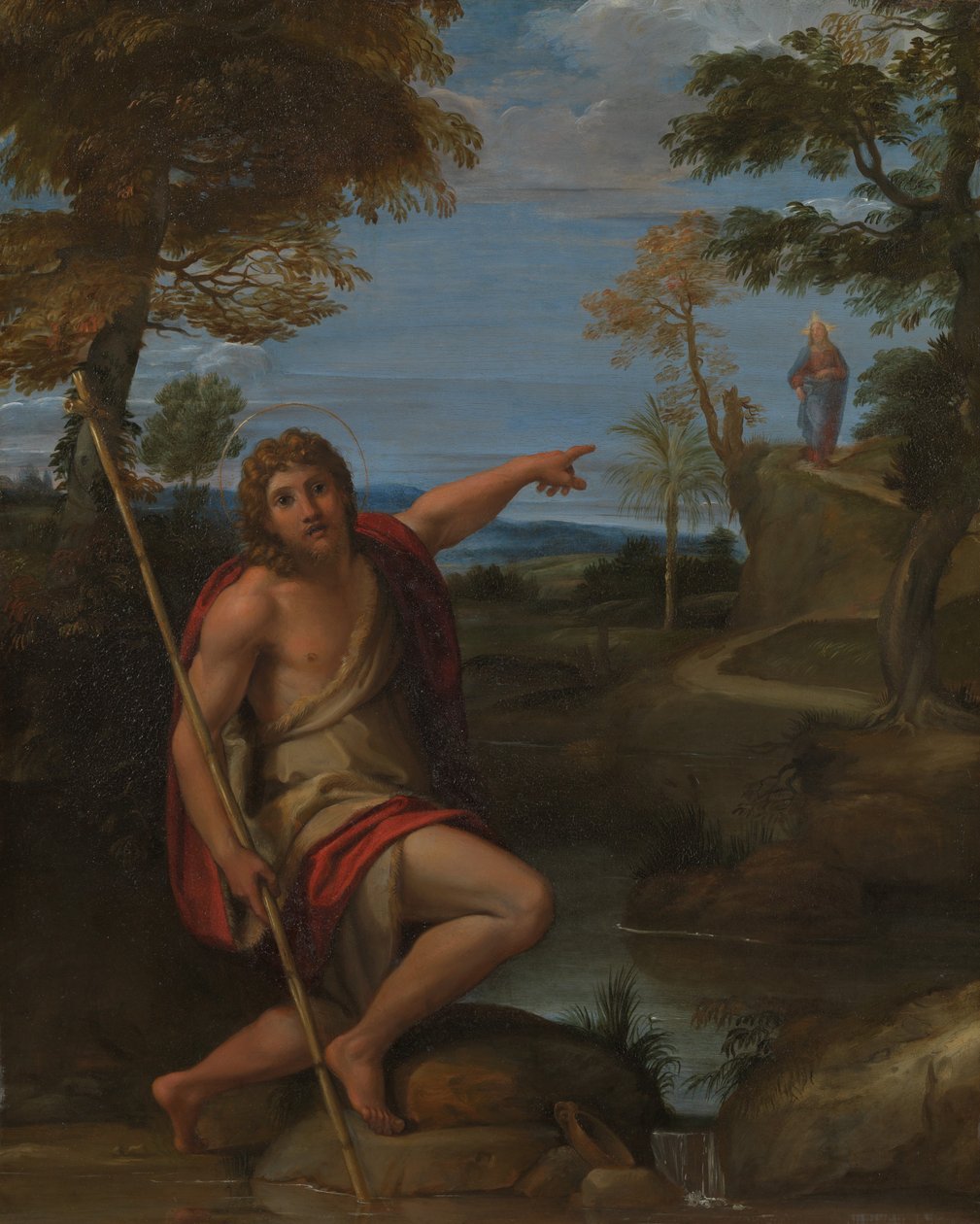 San Giovanni Battista che rende testimonianza da Annibale Carracci