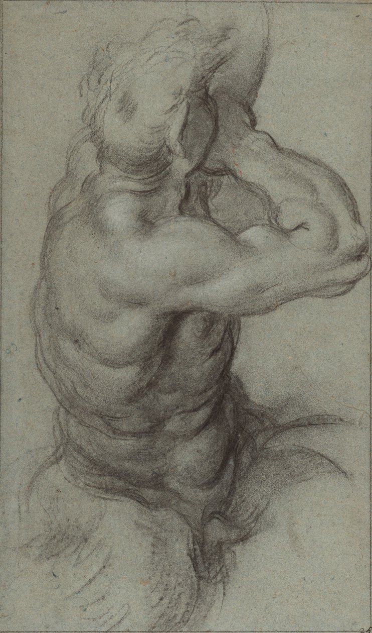 Studio di Tritone che suona una conchiglia (recto); Studio parziale di un braccio (verso) da Annibale Carracci